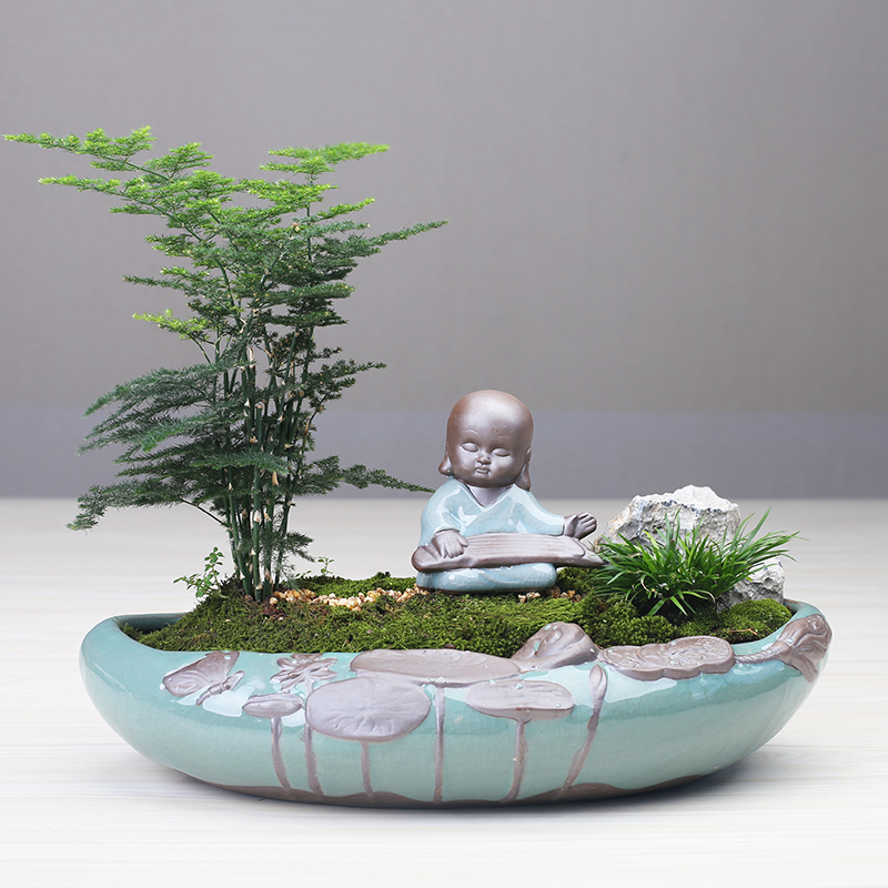Little flowerpot ceramic creative move Chinese wind asparagus rich tree pot to restore ancient ways more meat shallow basin large clearance