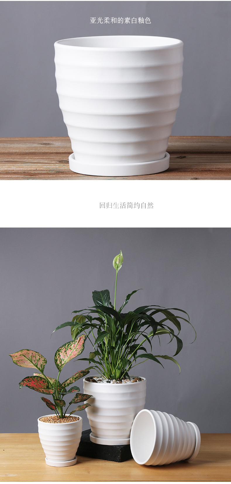 Contracted creative flowerpot ceramic large clearance other anthurium heavy meaty plant pot home boreal Europe style