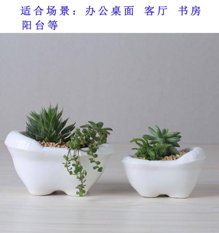 Creative cartoon white pot ceramic contracted move household the plants fleshy flower pot small desktop flower implement a clearance