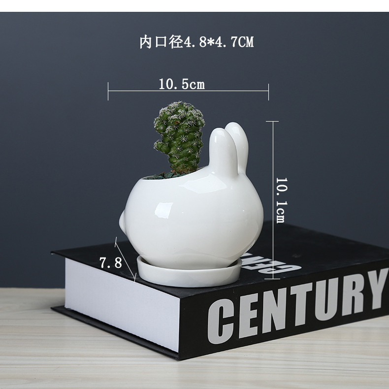 Creative move and lovely cartoon animal flowerpot more meat ceramic white office desktop small potted flower implement with tray