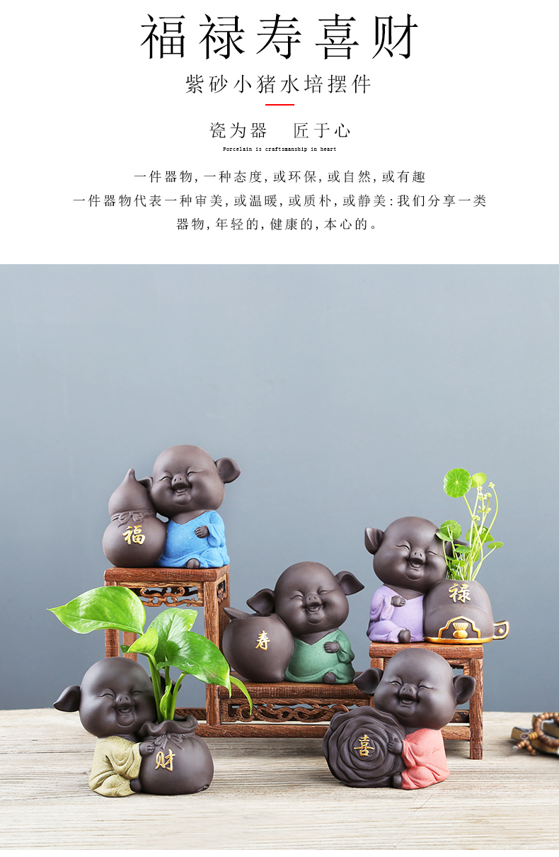 Chinese cartoon pig violet arenaceous other grass cooper hydroponic flower POTS of creative move aquatic flowers flower implement ceramics