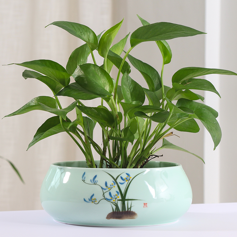 Other special copper grass hydroponic flower pot large clearance of pottery and porcelain vessels contracted daffodil aquatic plant bowl lotus