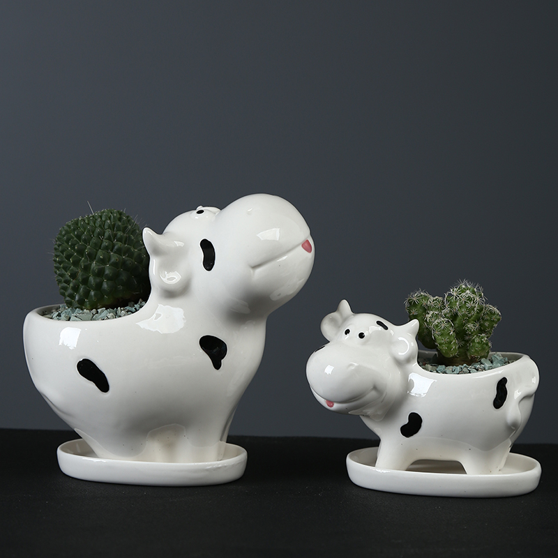 White hand - drawn cartoon animal pot with tray was small decorative the plants more meat flesh POTS, ceramic breathe freely