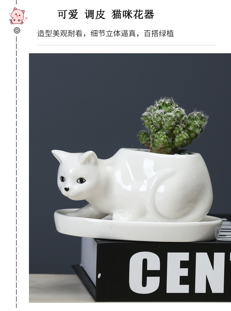 Cartoon animal plant POTS ceramic creative move more meat to indoor small potted flower, white porcelain with tray