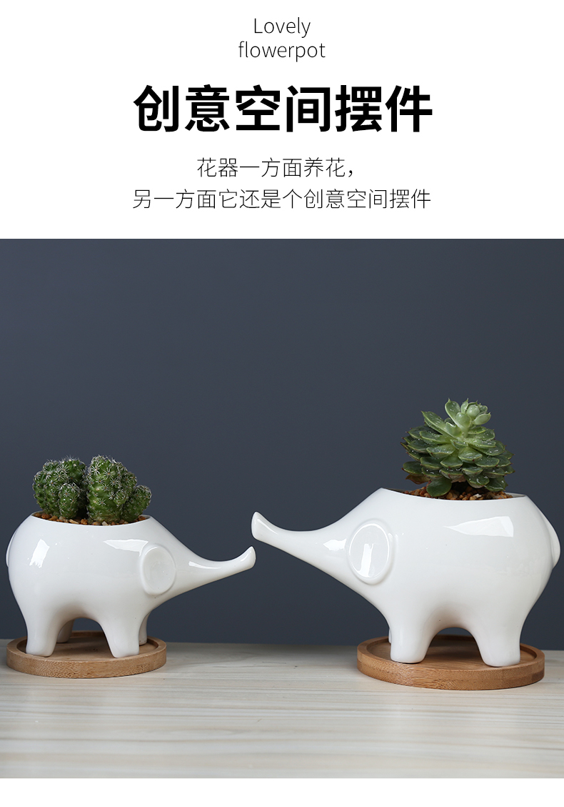 White cartoon fleshy flowerpot ceramic move to the desktop decorative the plants and animals elephants spend with tray