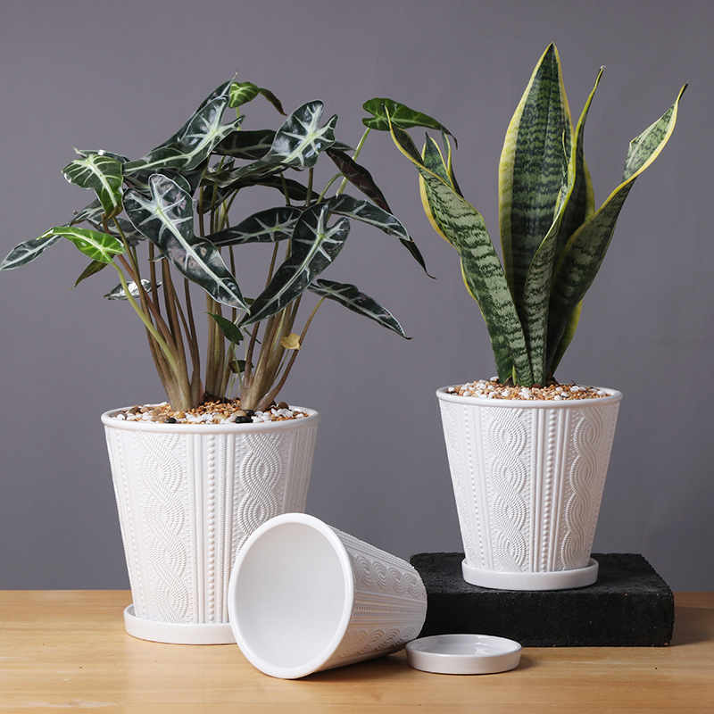 Nordic contracted flowerpot ceramic large clearance of creative move more than other meat home orchid flower POTS with pallets