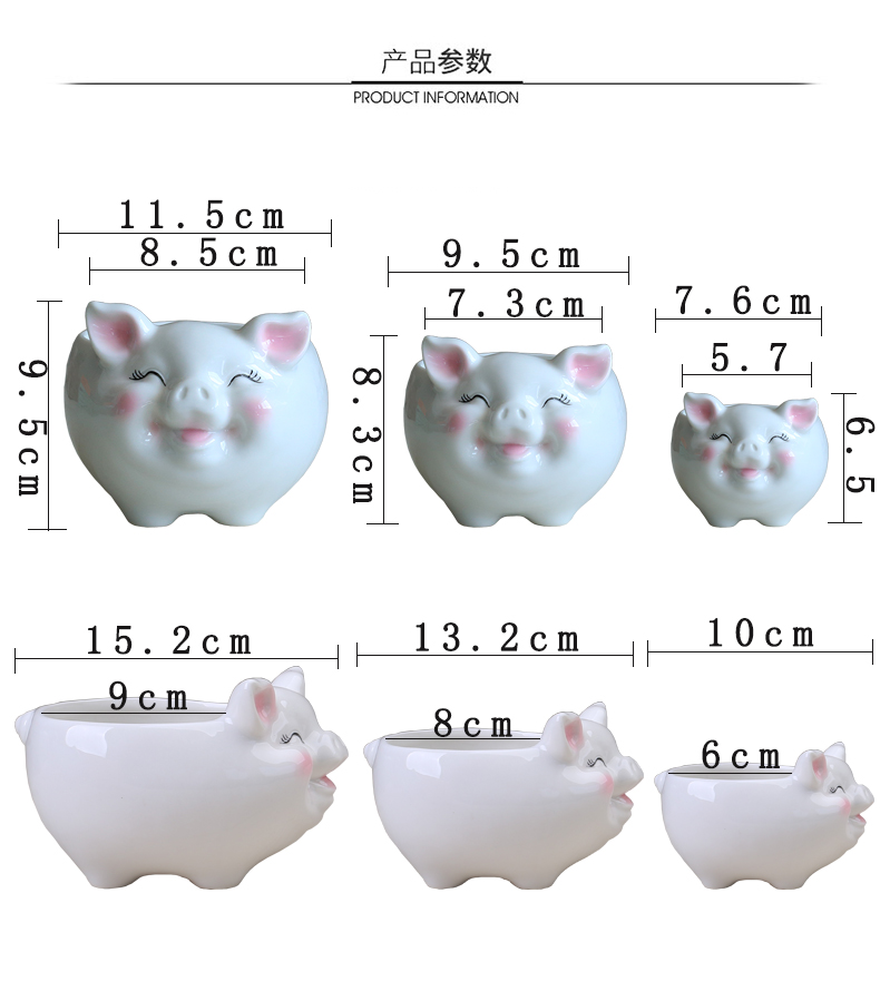 Simple cartoon fleshy flowerpot ceramic creative move, lovely pig sitting room plant white flower pot money plant