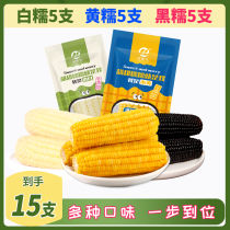 Blonda glutinous corn stick yellow white black Northeast Non-GMO sweet and minus vacuum fresh i.e. sticky food Fatty Meal 15