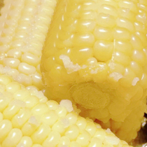 100 Longda Glutinous Corn Non GM Sweet Corn Stick That Is Vacuum Minus Fresh Fresh Food Sticky Corn 8 Fattening Meals