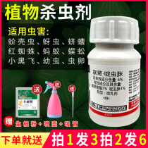 Fleshy insecticide flower plant universal anther rose Rose Red Spider aphid insecticide anther special type