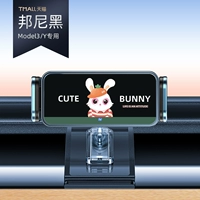 Bonnie [Co-Brene Ip] ★ 19-22 Модель 3/Y выделенная ★ Тихое шаг электричество.