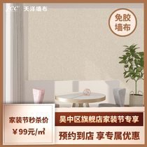 Tianyang wall covering seamless whole house light luxury modern living room bedroom background wall environmentally friendly ironing wallpaper DFR1019