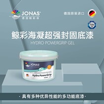 Latex paint imported from Germany Whale paint sea gel super strong sealing primer