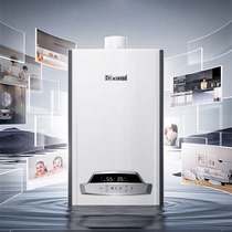 Rinnai condensing wall-mounted boiler intelligent control energy-saving gas water heater heating constant temperature Yueqing series RBS-35Q55A