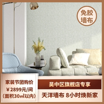 Sky Ocean Wall Cloth Seamless Whole House Wall Cloth Light Luxury Style Whole House Customized Wall Cloth Living Room Bedroom Wall Cloth Background Wall