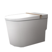 (Same style in store) 6800 smart private customized toilet