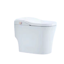 SSWW Langwhale Bathroom 2020 new product lCO-533 hybrid flushing system is fearless low-pressure smart toilet