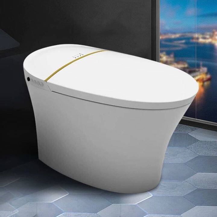 Store with Wrigley bathroom intelligent toilet integrated seat heating automatic flushing nozzle self-cleaning AKB1028