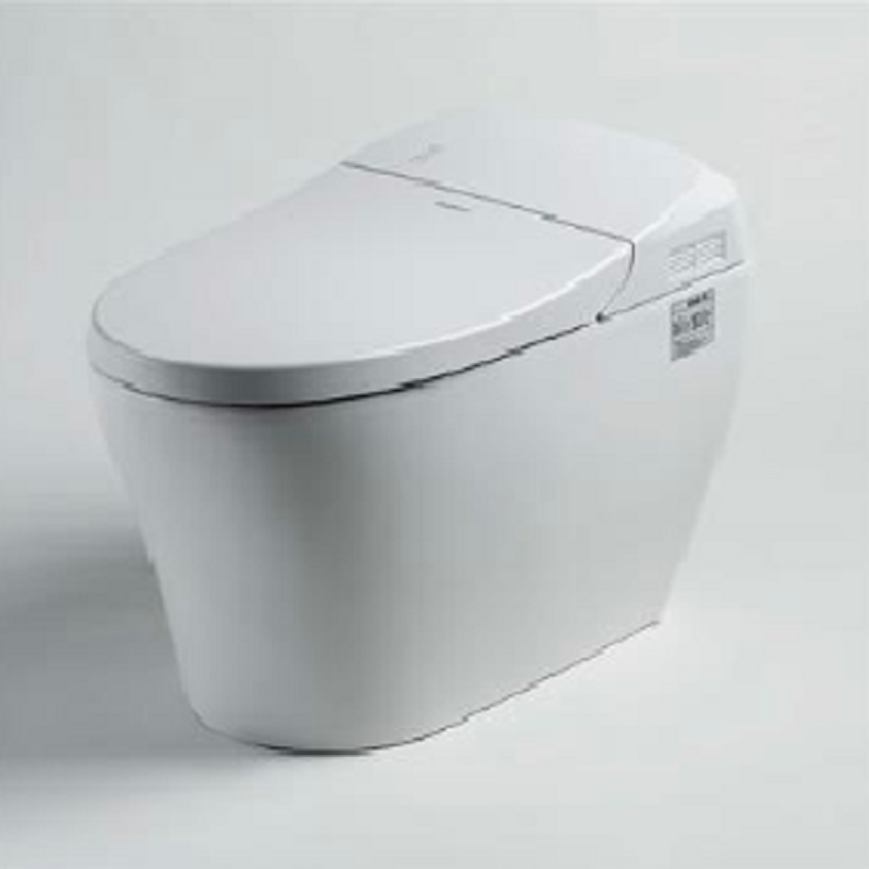 Smart Toilet