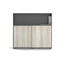 DIO Furniture office floor-standing storage cabinet floor-standing medium cabinet short company archive information storage file cabinet