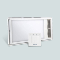 American BLANG integrated ceiling bath heater multi-functional ultra-thin embedded LED light bathroom air heater HT-FL260