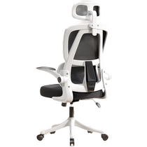 Bibeim computer chair e-sports chair home office chair bedroom desk chair student study sedentary chair Z