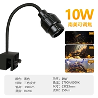 10W, три цвета