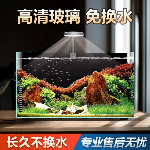 Креативный стеклянный маленький аквариум