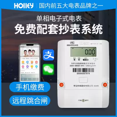Hangzhou Holley remote prepaid smart meter Mobile phone payment household rental room single-phase energy meter 220v
