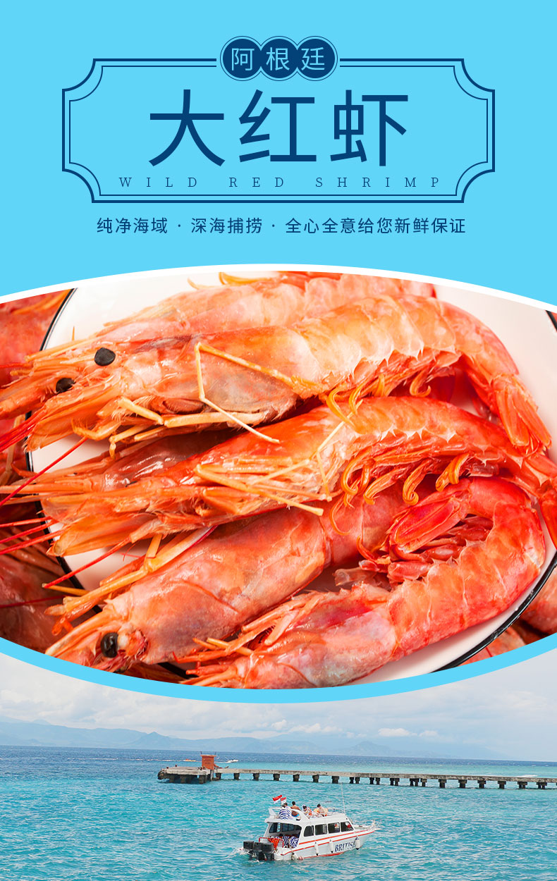 御浩 L1 阿根廷大红虾 净重4斤 单只18-20cm 图1