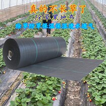 New black weeding cloth thickened agricultural grass-proof cloth Orchard vegetable greenhouse heat preservation moisture permeable and trampling