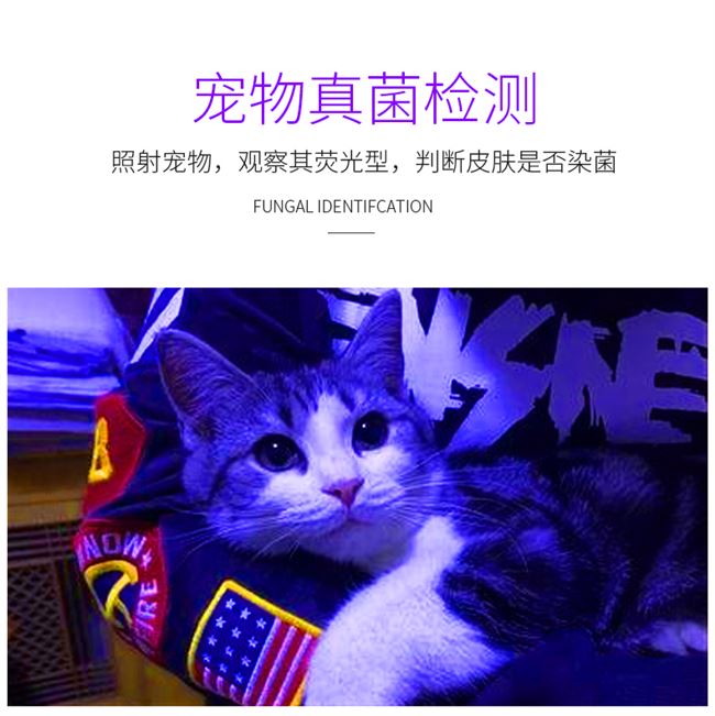 Phát hiện bệnh ngoài da Sạc mèo mèo mèo mèo mèo thử nghiệm UV phát hiện nấm vật nuôi - Cat / Dog Medical Supplies Dụng cụ phòng khám thú y