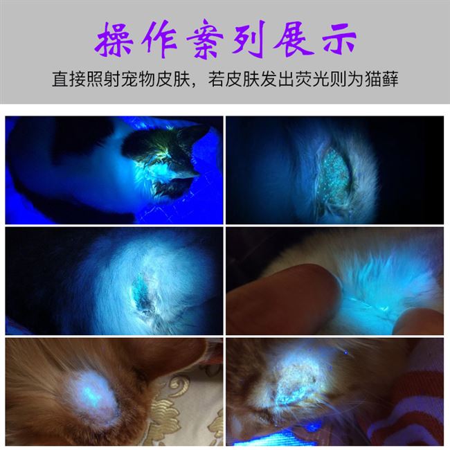 Phát hiện bệnh ngoài da Sạc mèo mèo mèo mèo mèo thử nghiệm UV phát hiện nấm vật nuôi - Cat / Dog Medical Supplies Dụng cụ phòng khám thú y