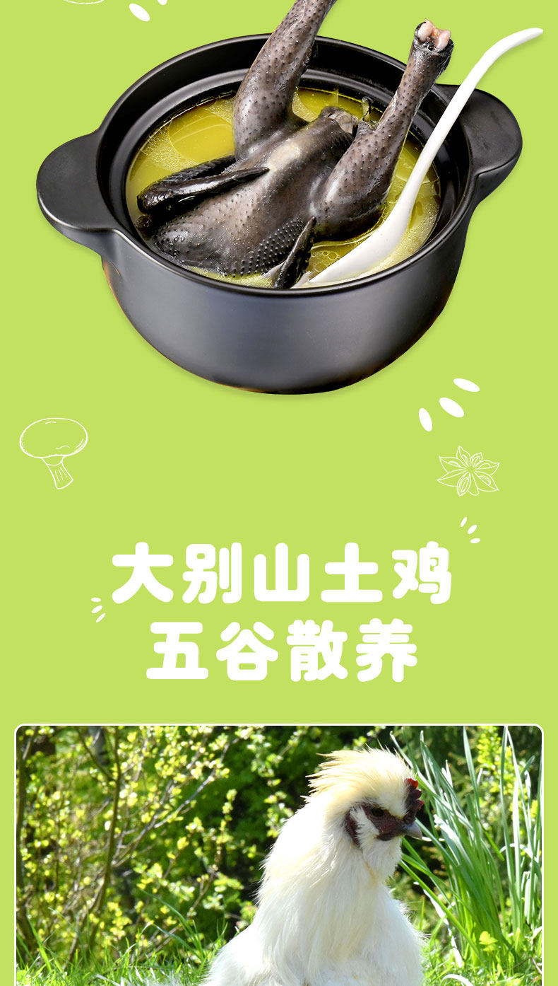 大别山300天以上散养乌鸡 现杀先发 900g左右/只 图3