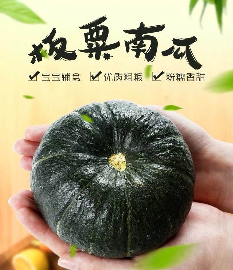 陕北村 板栗南瓜 5斤 天猫优惠券折后￥12.8包邮（￥16.8-4）