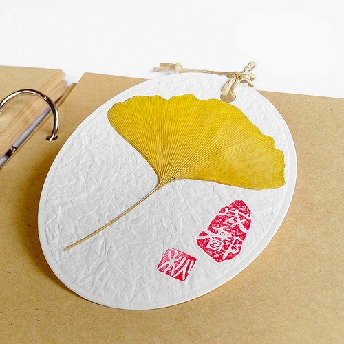 3 штуки из 1 набора гинкго оставляют закладки, образцы растений, сухие цветы, ниша для карты желания.