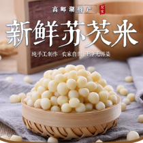 (2 catties) 2023 fresh chicken head rice Suzhou specialty fresh gorgon seeds farm-made gorgon seeds non-hand-peeled dry goods