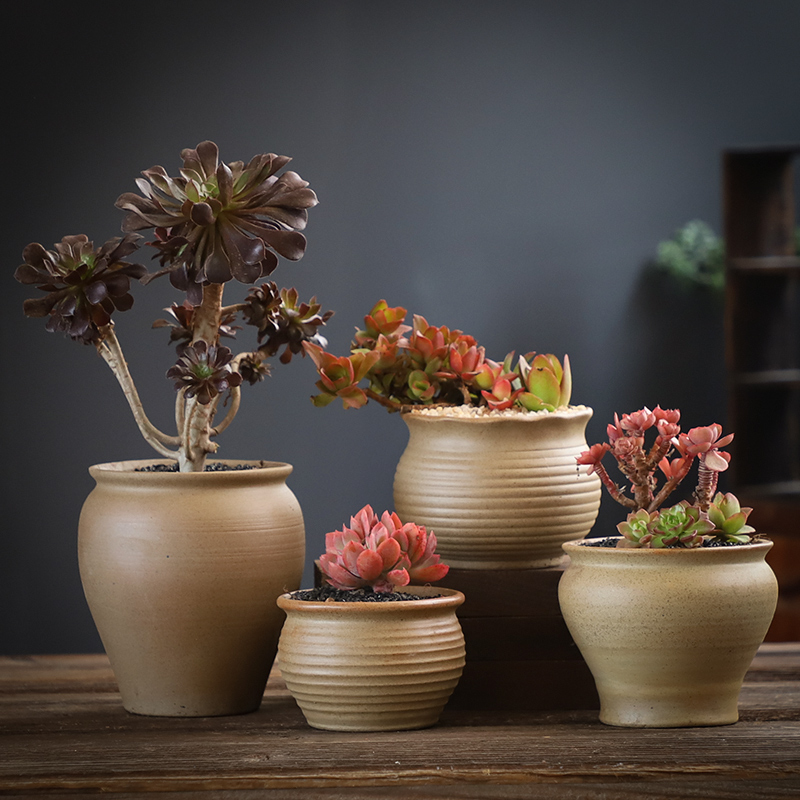 Fleshy flowerpot combination suit large creative move coarse pottery breathable flesh old running the restoring ancient ways is a flower pot special offer a clearance
