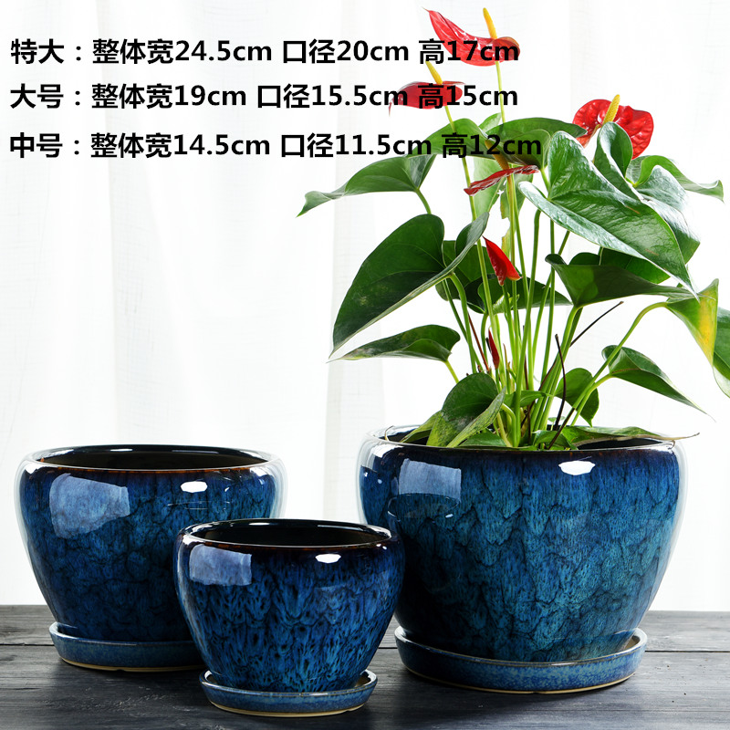 Flowerpot ceramics through pockets tao oversized clivia twelve other tray was most creative household meat flower pot