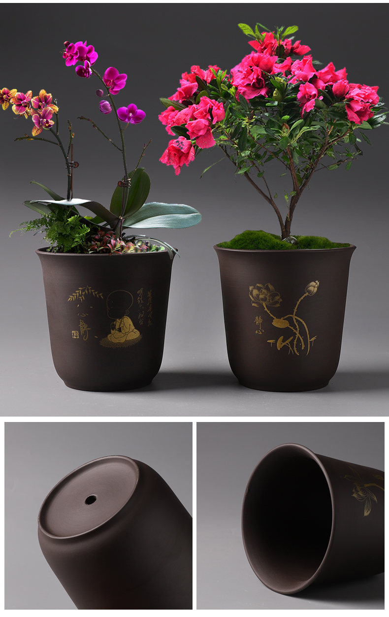Flowerpot purple ceramic special offer a clearance of creative move contracted basin of Chinese style meat meat meat more than other household orchid