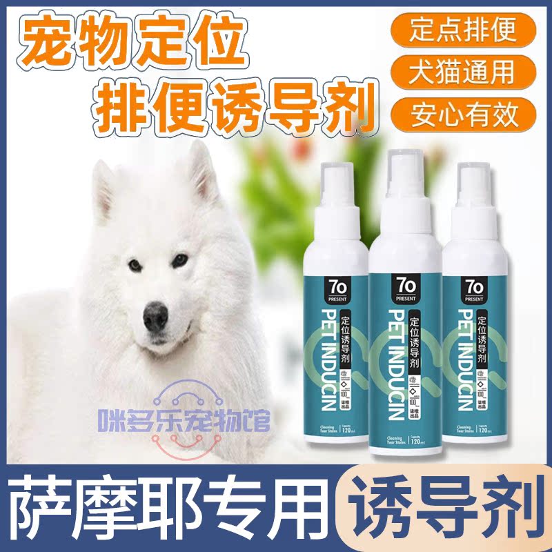 Samoye special such as toilet diuretic pet dog dog with fixed point defecation-inducing agent on toilet debater citation