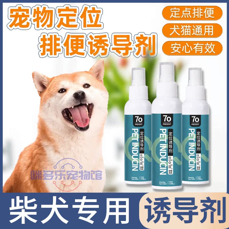 Diesel dog dedicated dog dog with a targeted convenience inducer on toilet artificial puppy urinary guide positioning