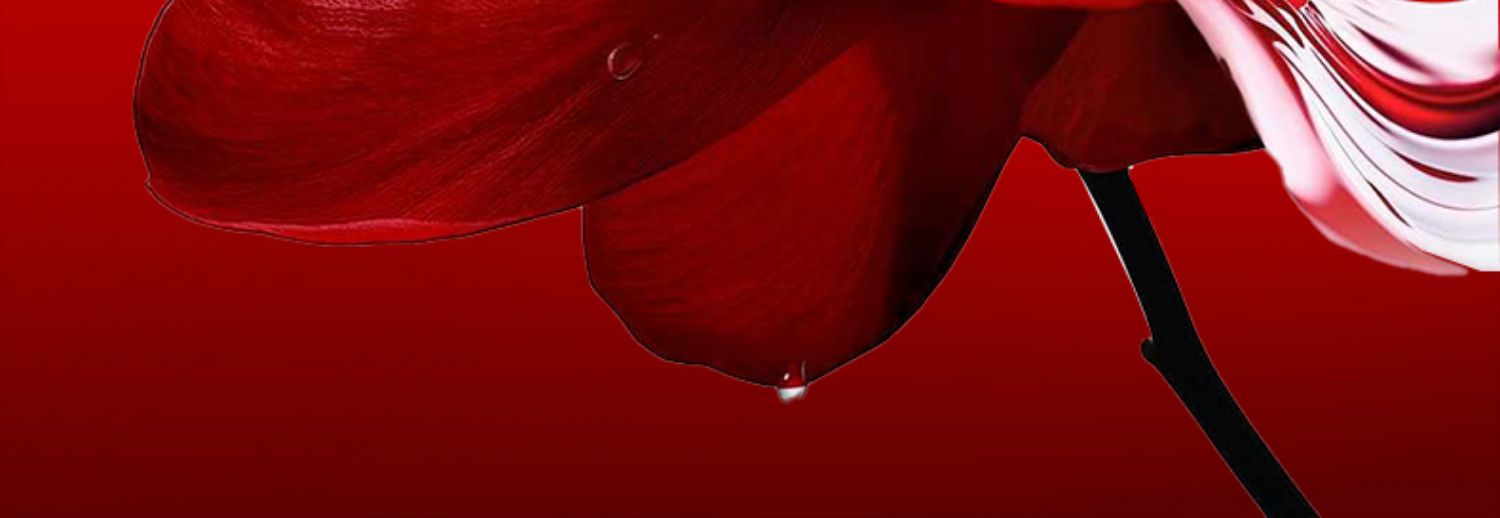 淮树鱼腥草润颜水100ml补水保湿舒缓敏感肌爽肤水官方旗舰正品