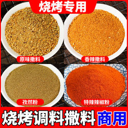 Cumin Powder Barbecue Seasoning, Commercial Authentic Zibo Barbecue Seasoning, Fried Skewers Seasoning, Outdoor Barbecue Combination Set