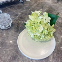 Летняя гортеня Зеленая