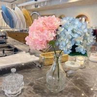 Бутылка для стекла листовой стеклянной бутылки+2 летняя гортеня (розовый синий)