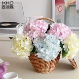 Увлажняющий симуляция цветочный цветок высокий уровень