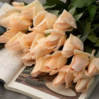 Ручные цветочные бутоны 5 шампанское