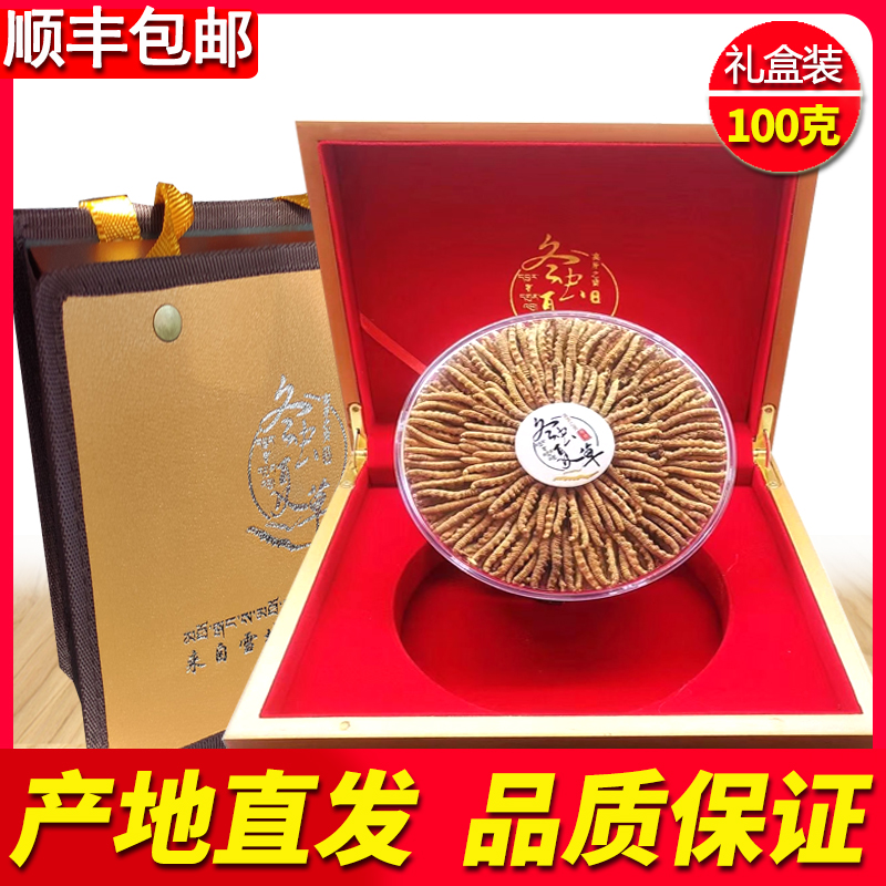 The first phase of Cordyceps sinensis official flagship store Cordyceps fresh dry goods recommended authentic 100g gift box