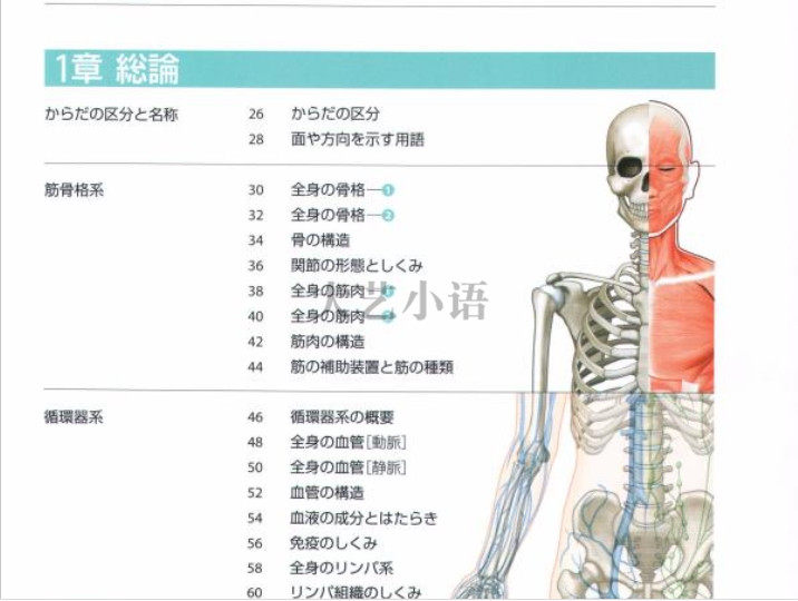 ぜんぶわかる人体解剖図难词附假名注音坂井建雄日文原版 Taobao